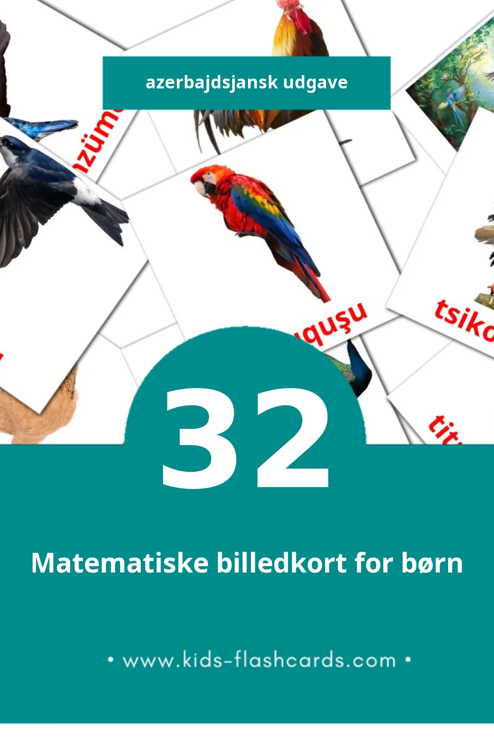 Visuelle billedkort for børn om Quşlar til småbørn (32 kort på Azerbajdsjansk)