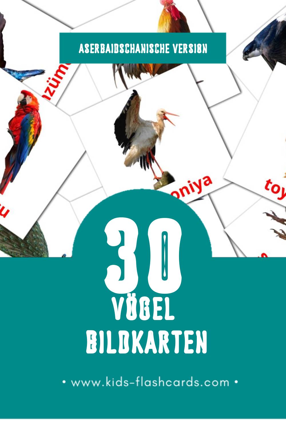 Visual Quşlar Flashcards für Kleinkinder (30 Karten in Aserbaidschanisch)