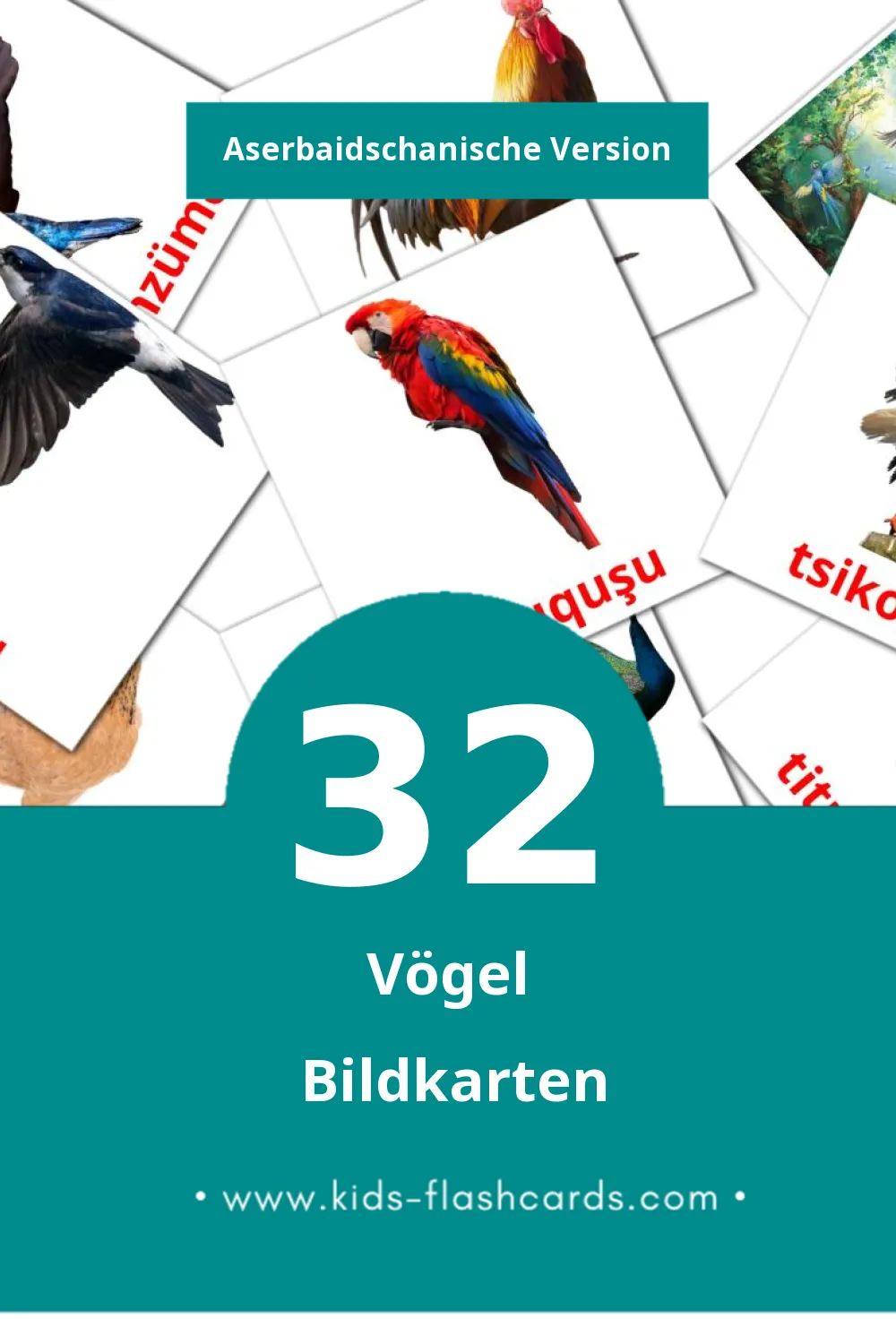 Visual Quşlar Flashcards für Kleinkinder (32 Karten in Aserbaidschanisch)