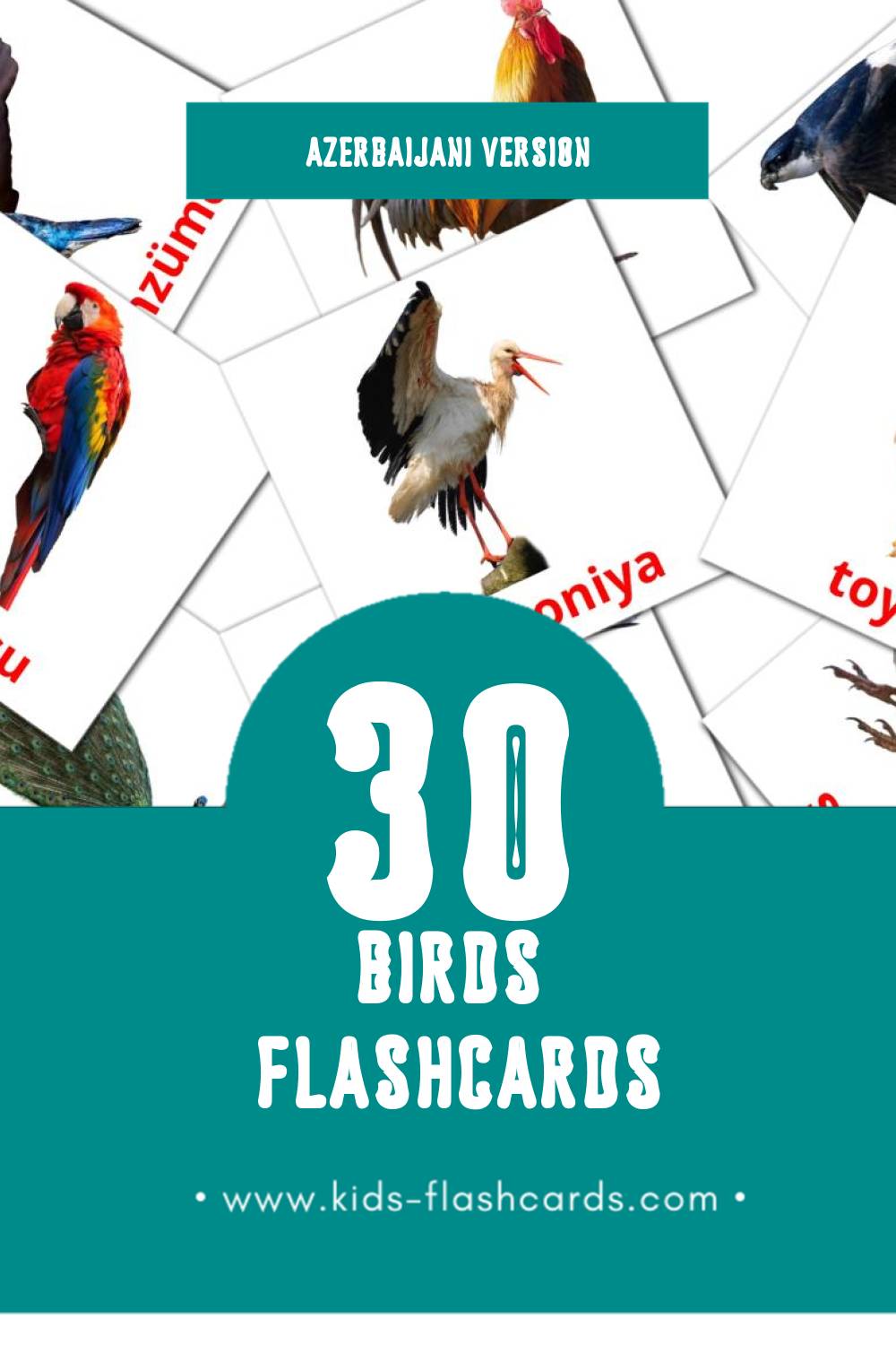 Visual Quşlar Flashcards for Toddlers (30 cards in Azerbaijani)