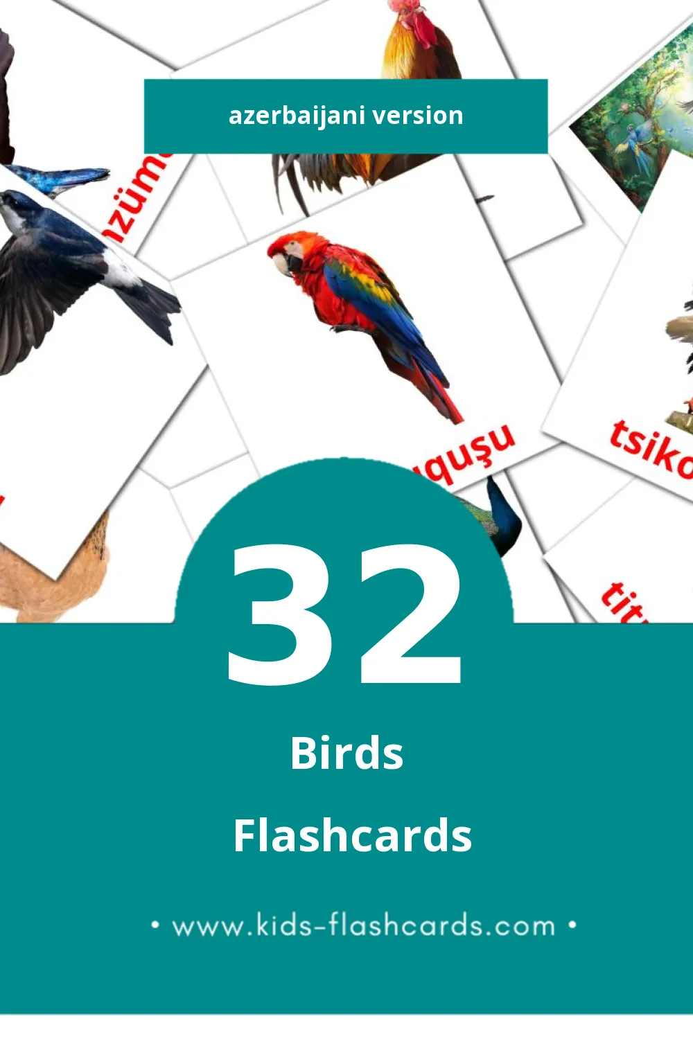 Visual Quşlar Flashcards for Toddlers (32 cards in Azerbaijani)