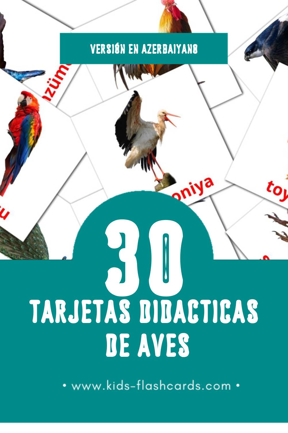Tarjetas visuales de Quşlar para niños pequeños (30 tarjetas en Azerbaiyano)