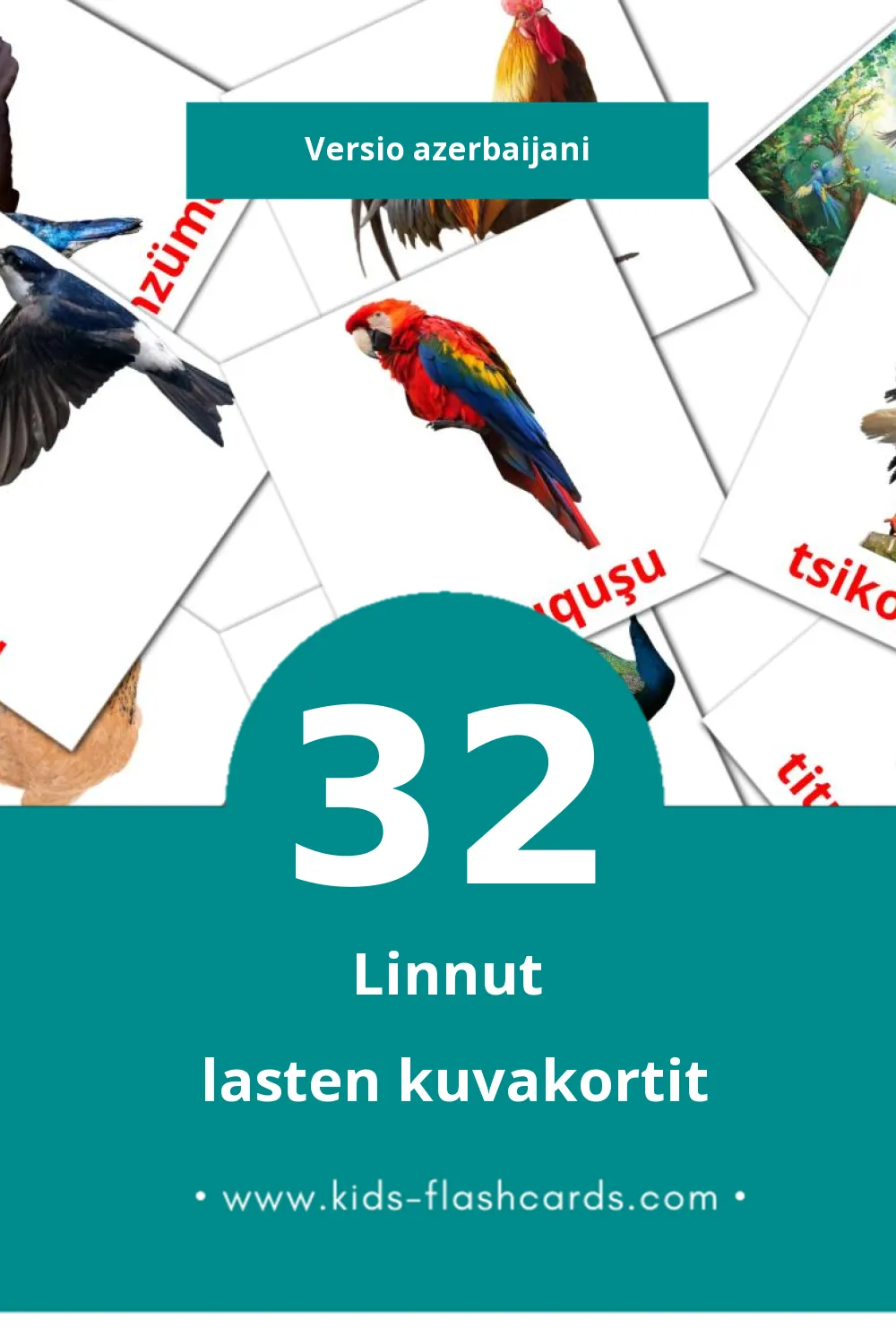Quşlar lasten kuvakortit pikkulapsille (32 korttia Azerbaijaniksi)