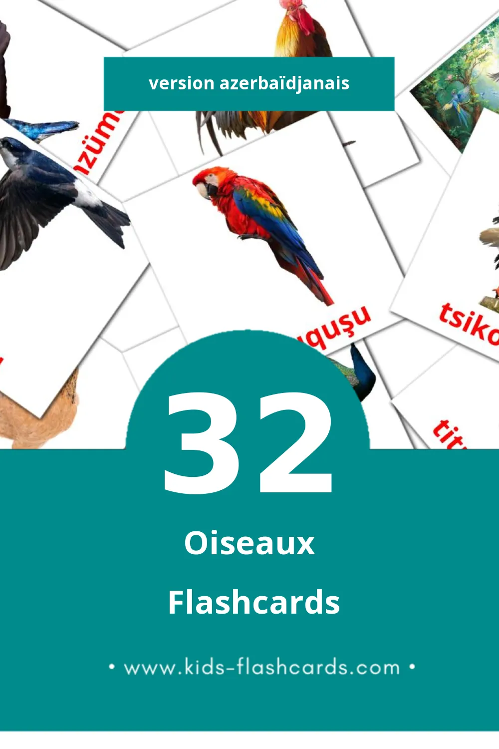 Flashcards Visual Quşlar pour les tout-petits (32 cartes en Azerbaïdjanais)