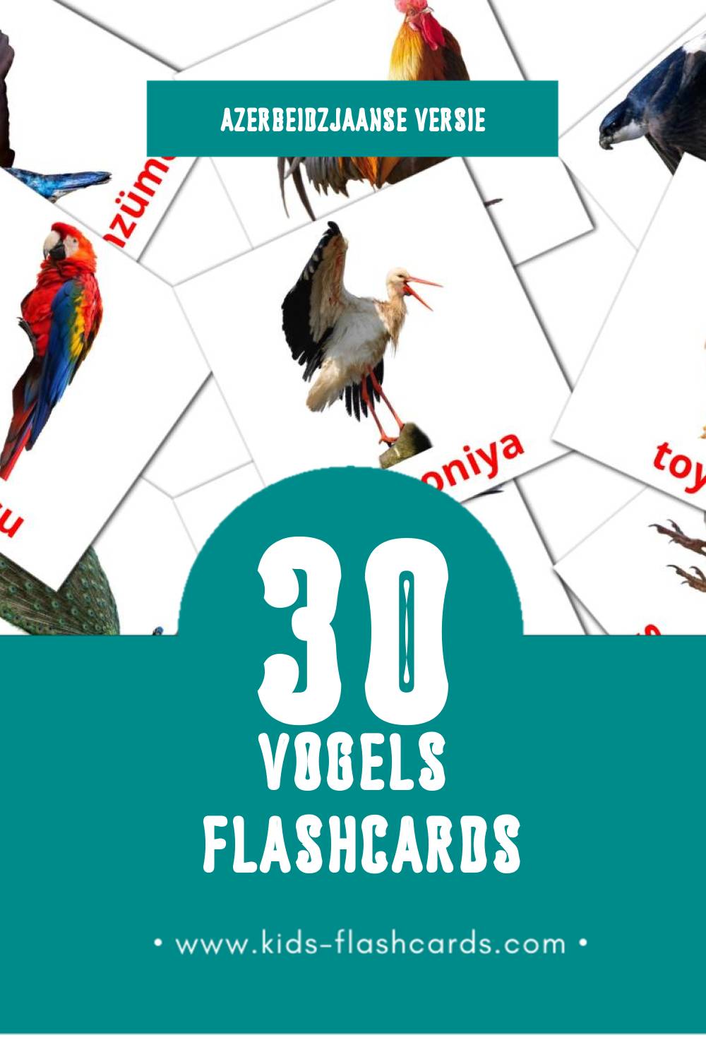 Visuele Quşlar Flashcards voor Kleuters (30 kaarten in het Azerbeidzjaans)