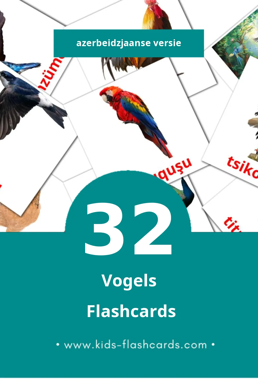 Visuele Quşlar Flashcards voor Kleuters (32 kaarten in het Azerbeidzjaans)