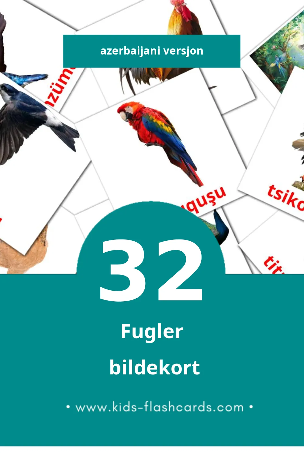 Visuelle Quşlar bildekort for småbarn (32 kort på Azerbaijani)