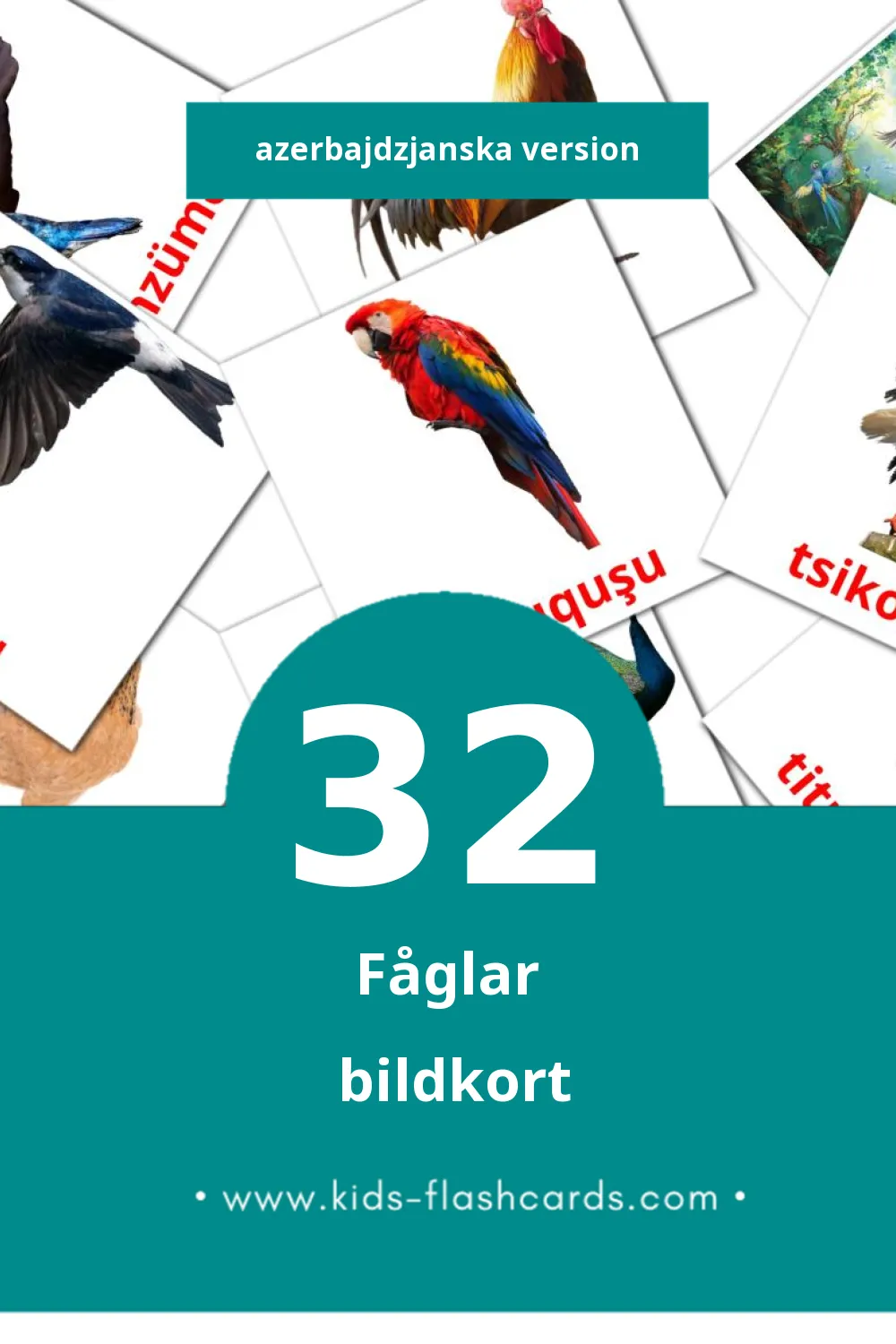 Visuella Quşlar för småbarn (32 bildkort för barn på Azerbajdzjanska)