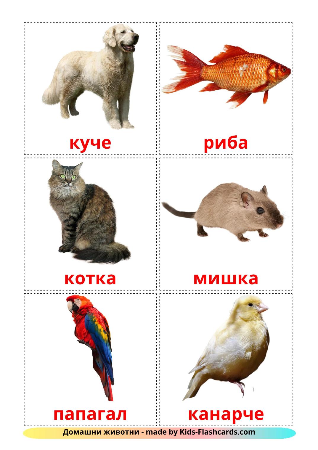 Домашние животные - 10 Карточек Домана на башкирском