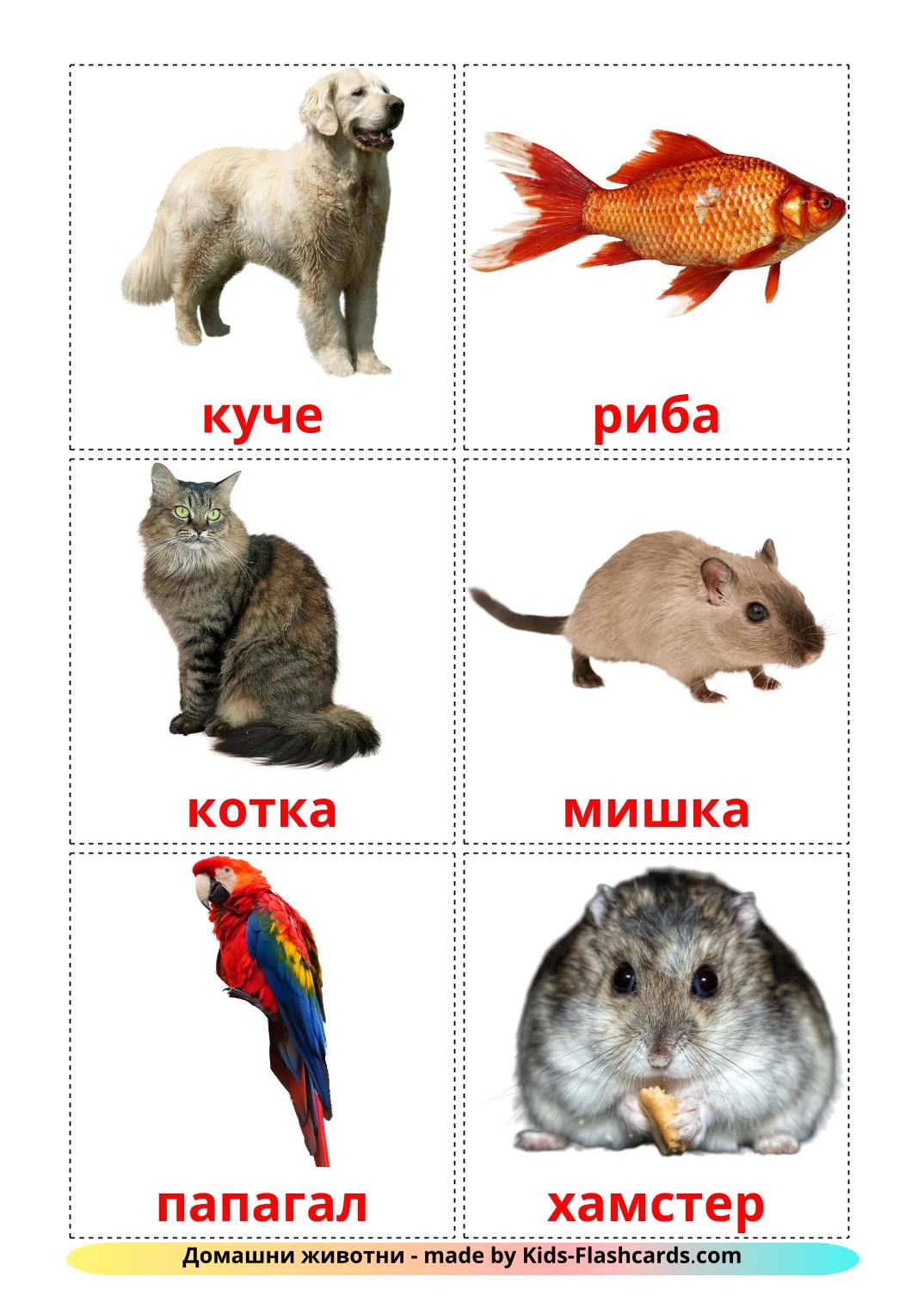 Domestic animals - 11 Free Printable bashkir Flashcards 