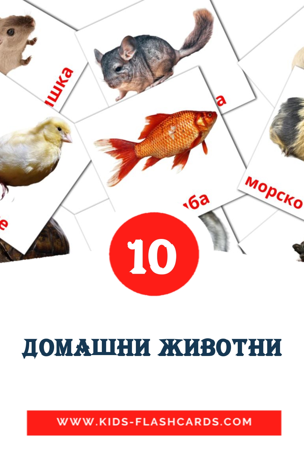 10 cartes illustrées de Домашни животни pour la maternelle en bashkir