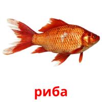 риба picture flashcards