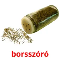 borsszóró picture flashcards