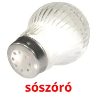 sószóró picture flashcards