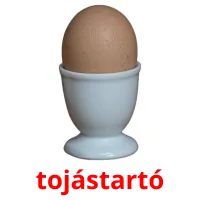 tojástartó picture flashcards