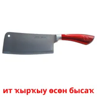 ит ҡырҡыу өсөн бысаҡ billedkort for børn med billeder