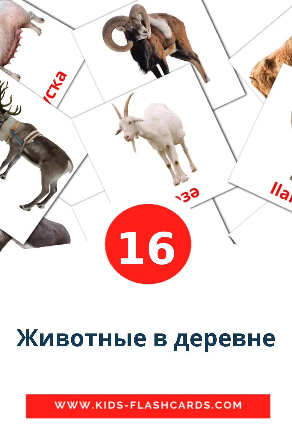 16 billedkort for børn med Животные в деревне til børnehaveklassen på bashkir