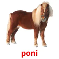 poni billedkort for børn med billeder