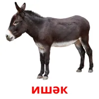 ишәк billedkort for børn med billeder