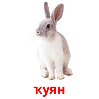 ҡуян billedkort for børn med billeder