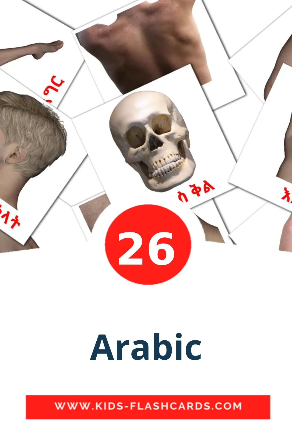 26 tarjetas didacticas de Arabic para el jardín de infancia en brashkir