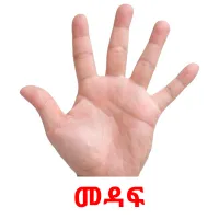 መዳፍ Tarjetas didacticas