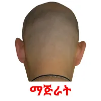 ማጅራት Tarjetas didacticas