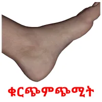 ቁርጭምጭሚት Tarjetas didacticas