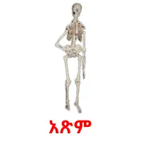 አጽም Tarjetas didacticas