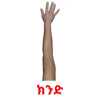 ክንድ Tarjetas didacticas