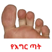 የእግር ጣት Tarjetas didacticas