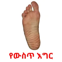 የውስጥ እግር Tarjetas didacticas