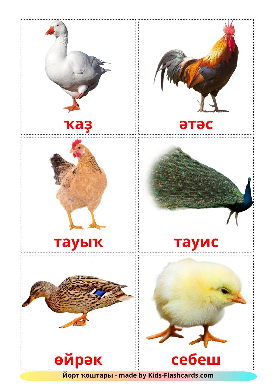 Uccelli di fattoria - 11 flashcards bashkir stampabili gratuitamente