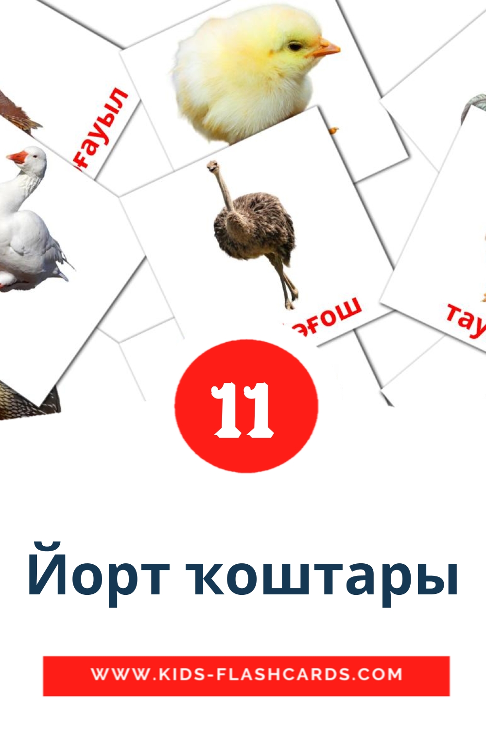 11 cartes illustrées de Йорт ҡоштары pour la maternelle en bashkir
