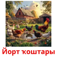 Йорт ҡоштары picture flashcards