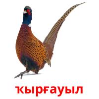 ҡырғауыл picture flashcards
