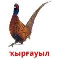 ҡырғауыл picture flashcards