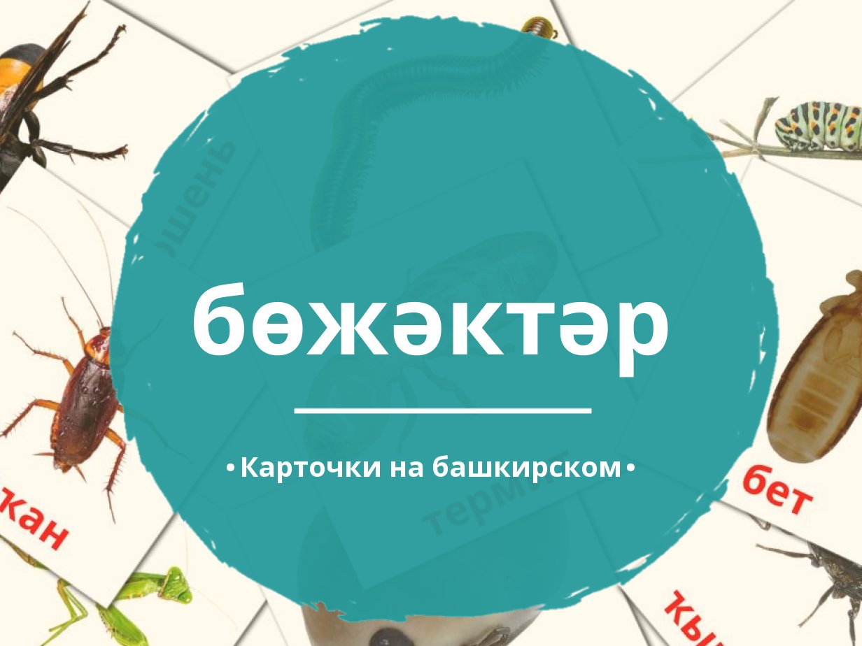 23 Бесплатные Карточки Насекомые на Башкирском | PDF