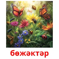 бөжәктәр picture flashcards