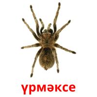 үрмәксе picture flashcards