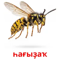 һағыҙаҡ bildkort för barn