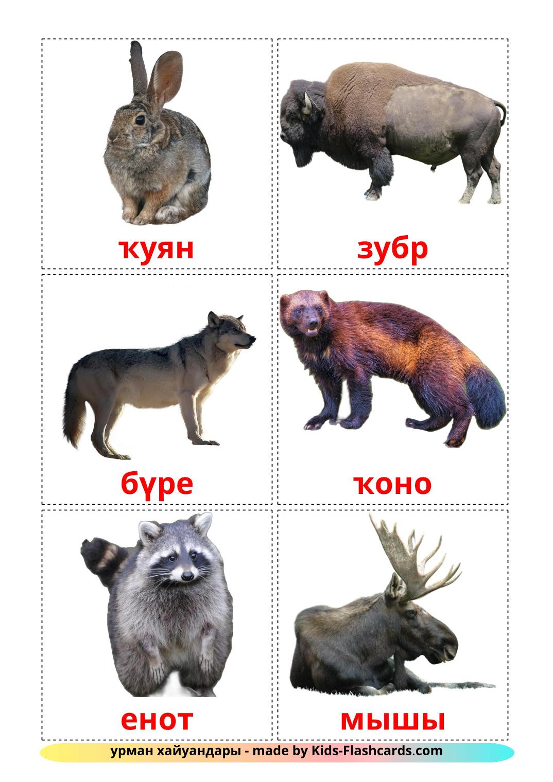 Animali della foresta - 22 flashcards bashkir stampabili gratuitamente