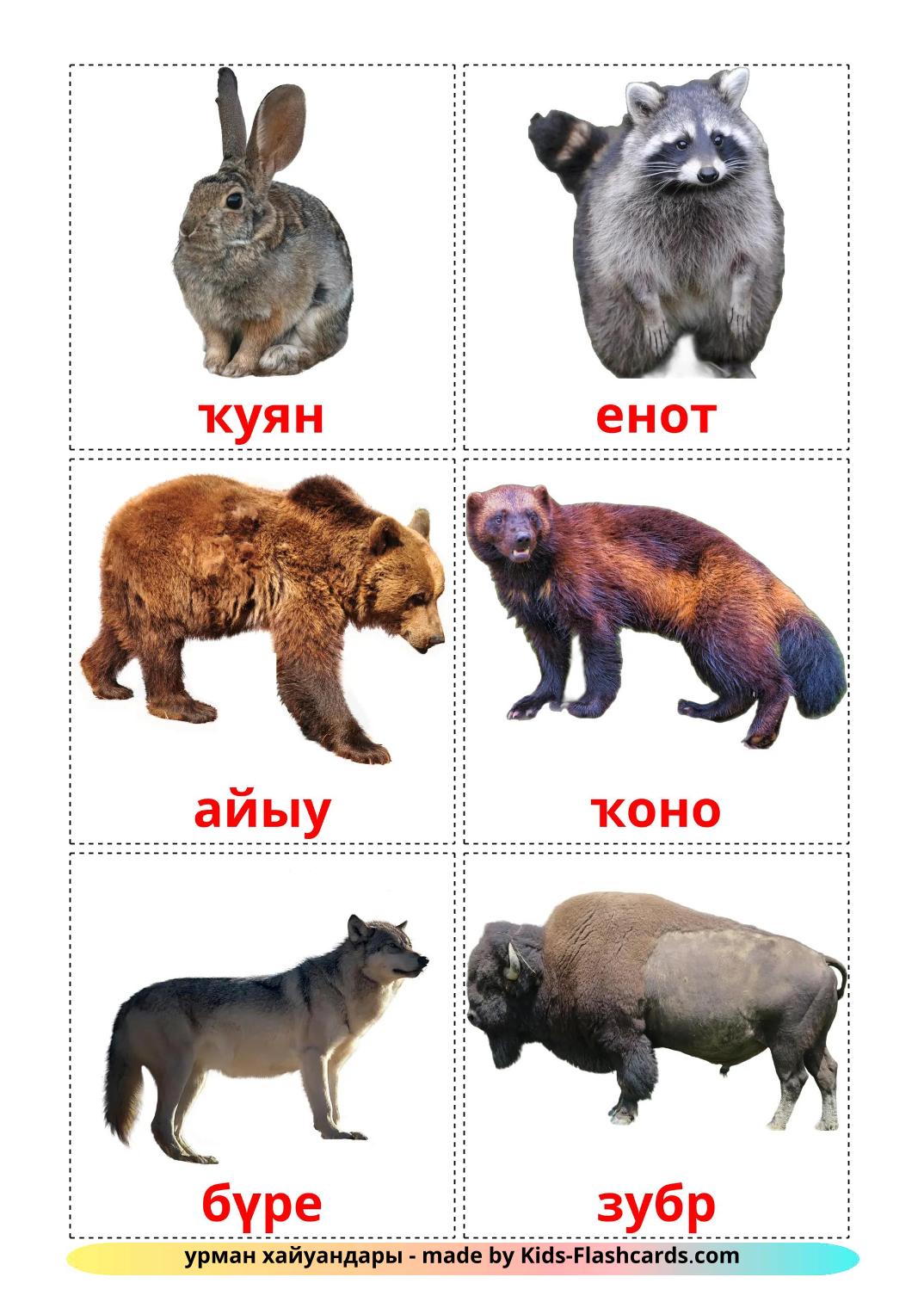 Forest animals - 23 Free Printable bashkir Flashcards 