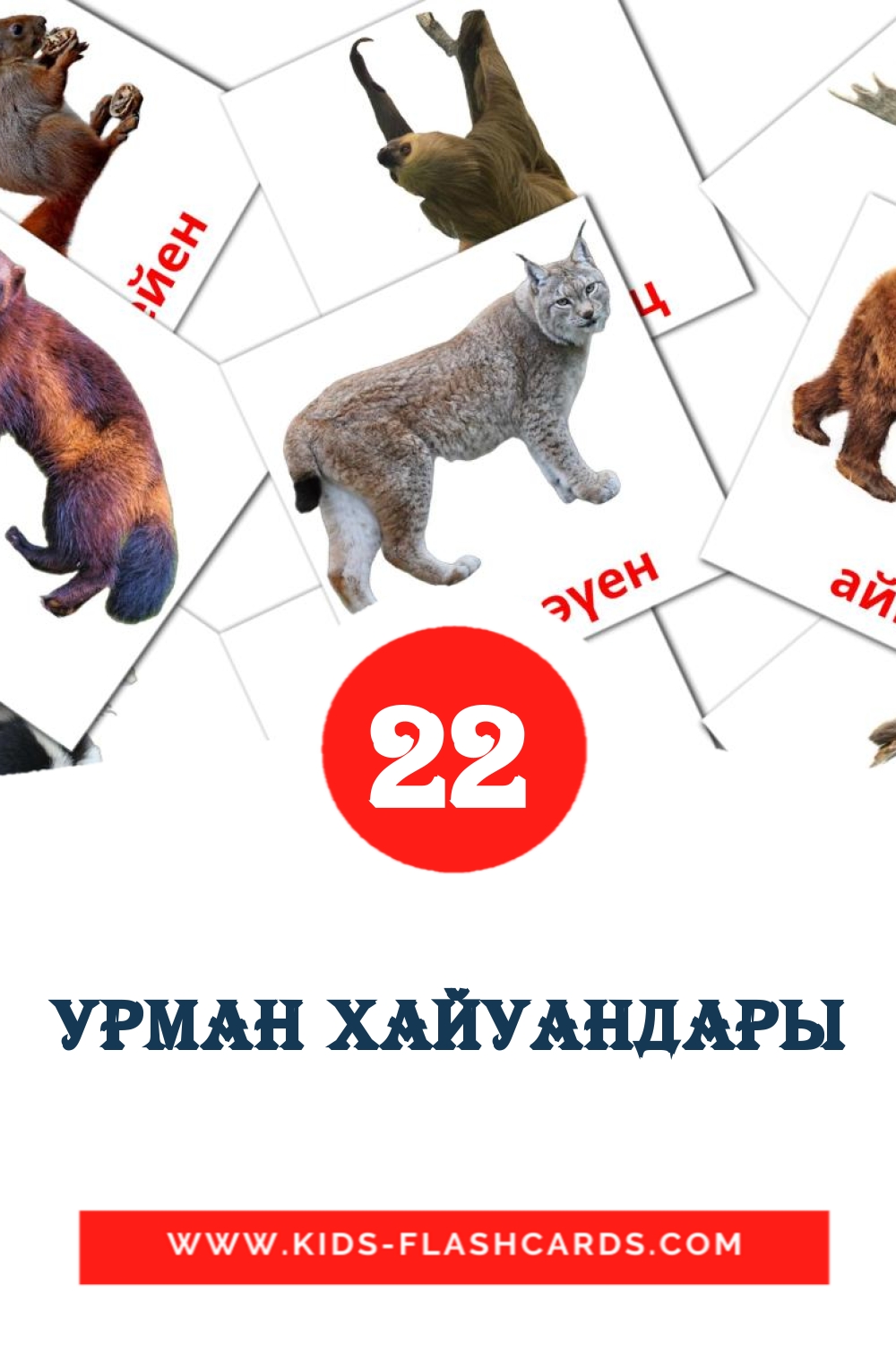 22 tarjetas didacticas de урман хайуандары para el jardín de infancia en brashkir