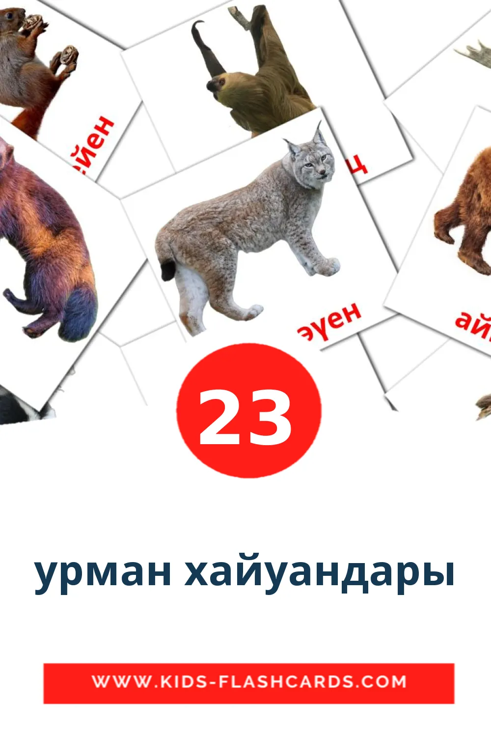 23 урман хайуандары Picture Cards for Kindergarden in bashkir