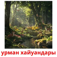 урман хайуандары picture flashcards