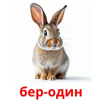 бер-один billedkort for børn med billeder