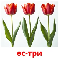 өс-три billedkort for børn med billeder