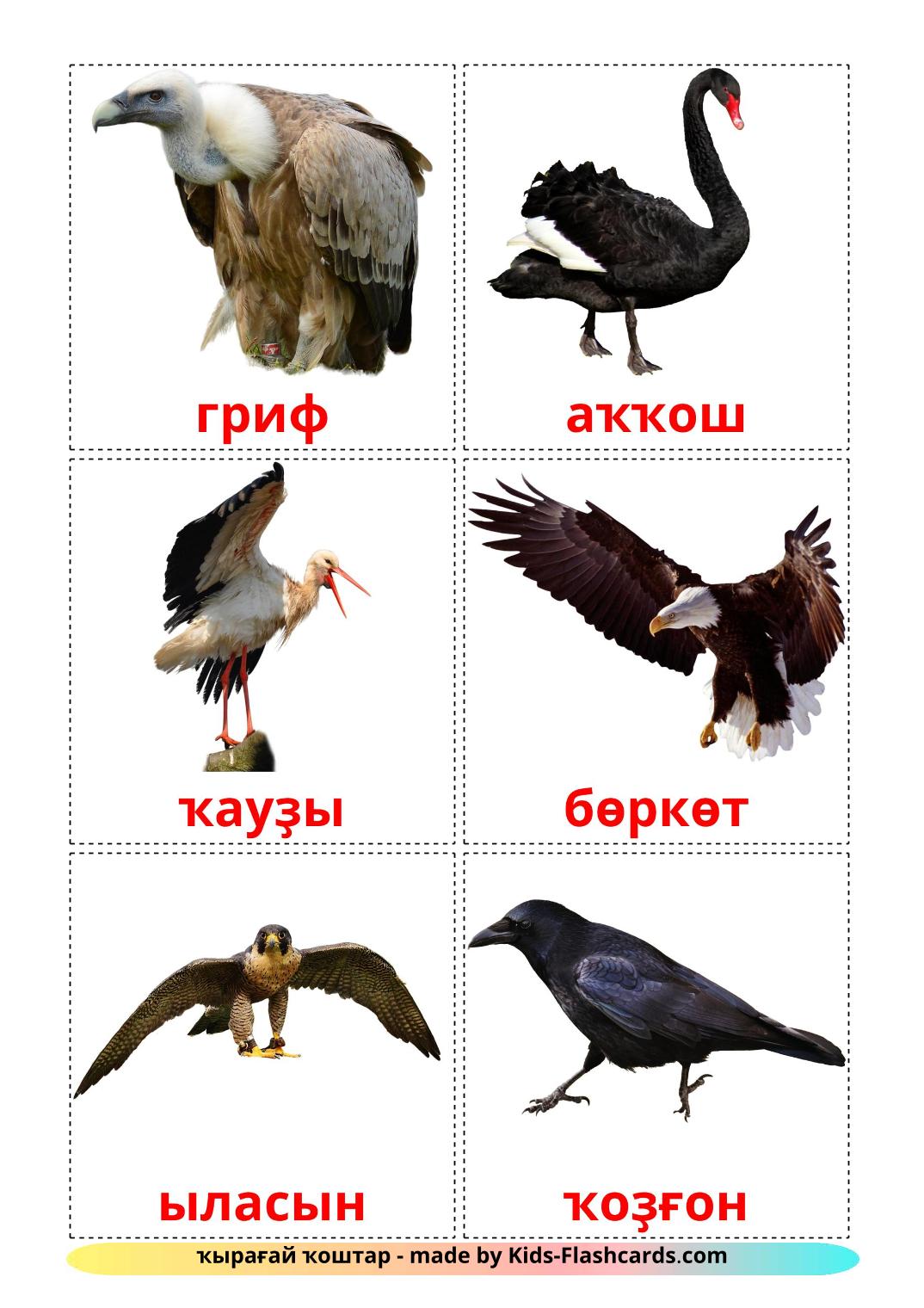 Uccelli selvaggi - 18 flashcards bashkir stampabili gratuitamente