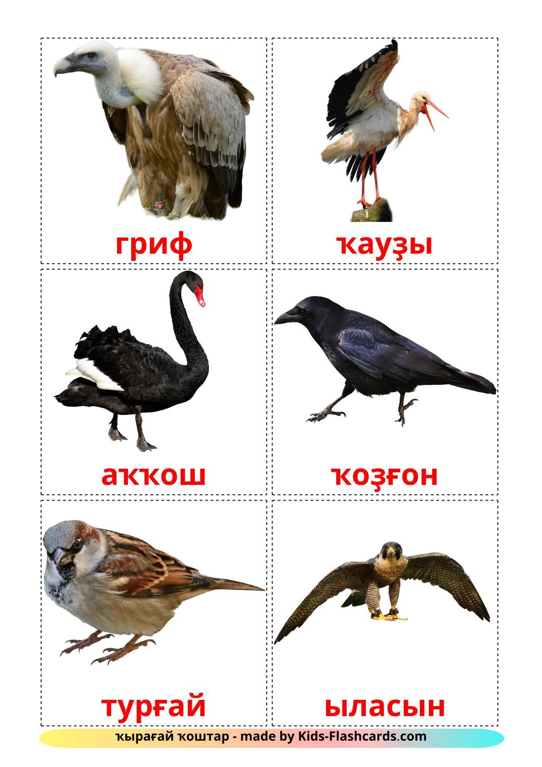 Wild birds - 19 Free Printable bashkir Flashcards 